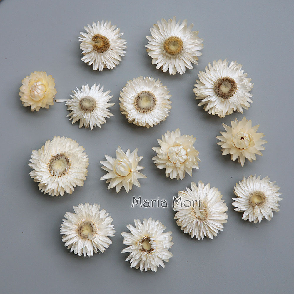 Natuurlijke Gedroogde Kleurrij - Baby Products For 1 Year Old recensie en prijs